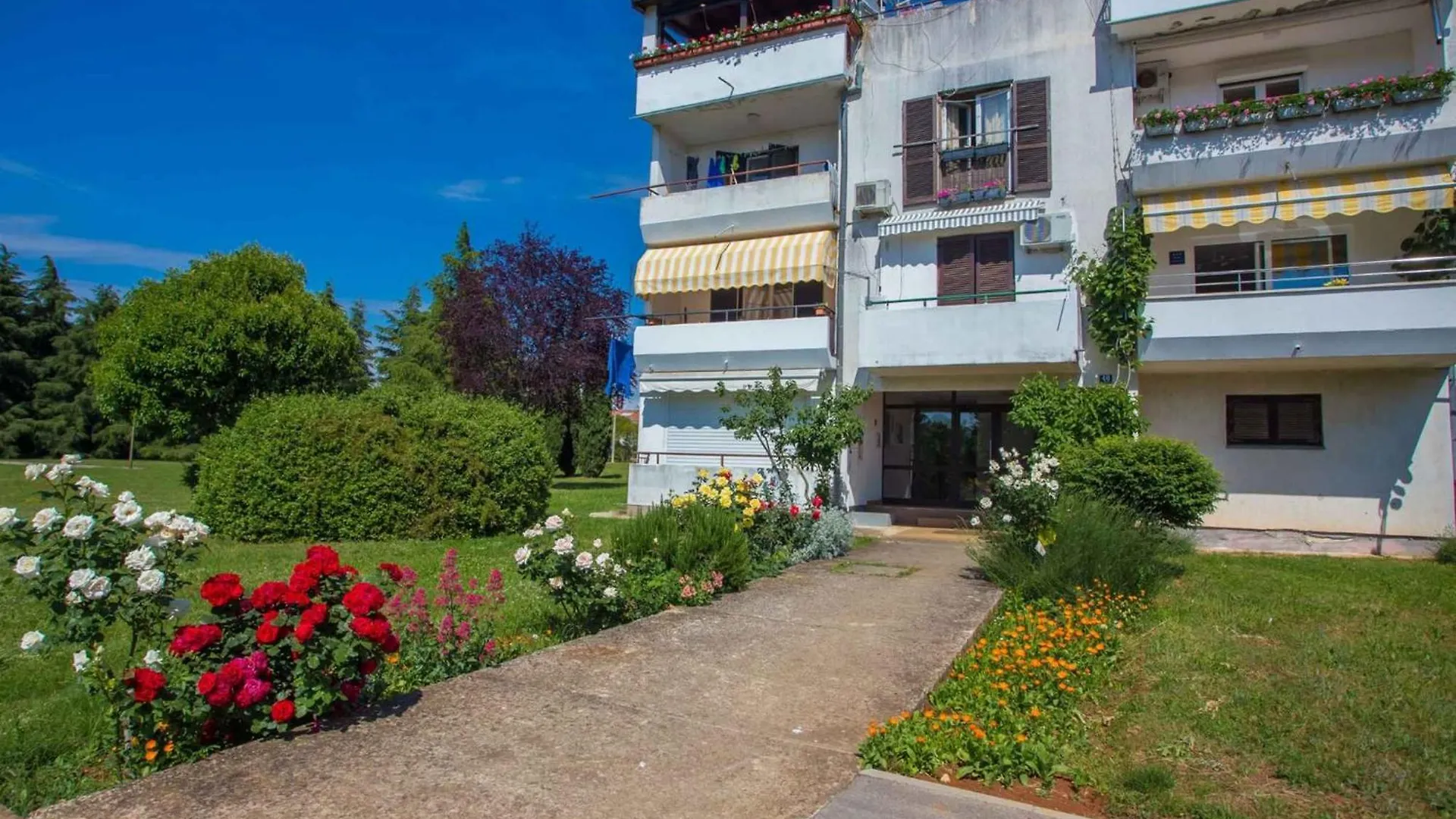 Apartment In Porec - Istrien 52017